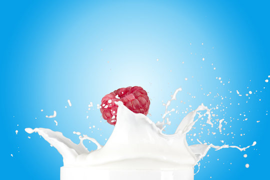 Raspberry Falling Into Milk Splash