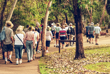 group of old and healthy people walking in the nature, vintage