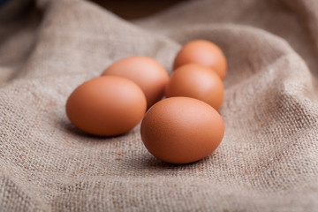 Fresh eggs scattered on sacking