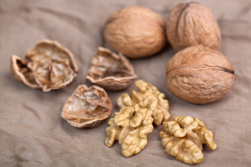 Walnut without shell close-up, and nuts in the shell