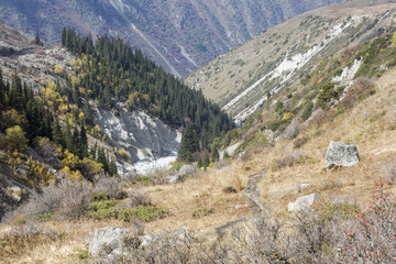 Fototapeta na wymiar The panorama of mountain landscape of Ala-Archa gorge in the sum