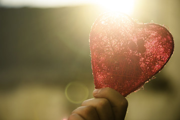 Heart in hand