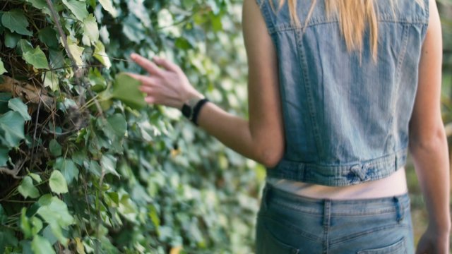 A girl touches with hand the hedge while she is walking. Handheld shot in 4K
