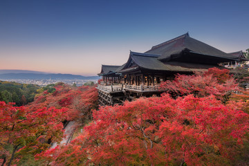 Obraz premium Świątynia Kiyomizu jesienią