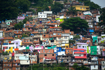  Favela