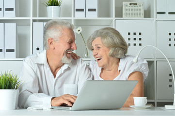 happy senior couple with laptop