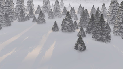 Trees in mountains