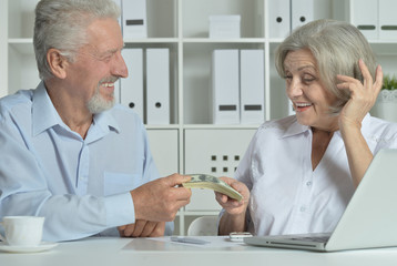 Obraz premium senior couple with laptop and money