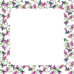 frame pink-purple flowering bougainvillea garden in watercolor style