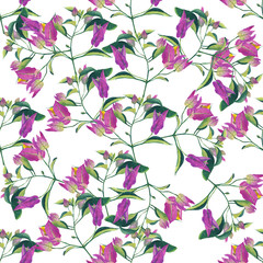 pattern pink-purple flowering bougainvillea garden in watercolor style