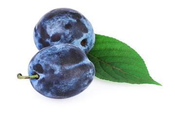 Plum Fruits Green Leaf