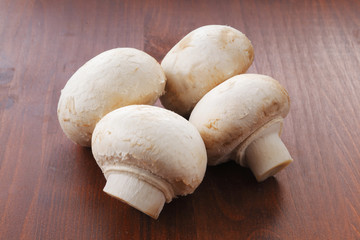 マッシュルーム　common mushroom
