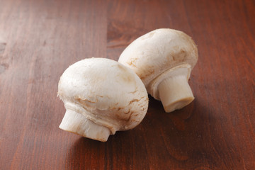 マッシュルーム　common mushroom