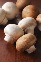 マッシュルーム　common mushroom