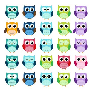Different Owls Collection