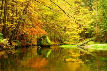 Big boulders with fallen leaves. Autumn mountain river banks. Fresh green mossy boulders and river banks covered with colorful leaves