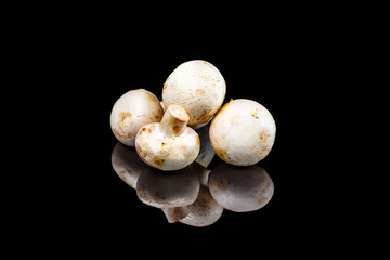 Fresh Champignons are reflected in a black mirror.