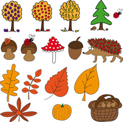 Autumn set with mushrooms, fruit, hedgehog, leaves, pumpkin and acorn on a transparent background