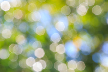 Fototapeta premium Christmas Background. Golden Holiday Abstract Glitter Defocused