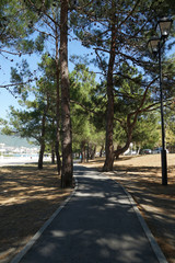 park