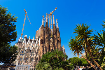 Naklejka premium Sagrada Familia - Barcelona Spain / The famous Catholic basilica of the Sagrada Familia in Barcelona, Catalonia, Spain. Designed by Antoni Gaudi. Start of construction, 1882