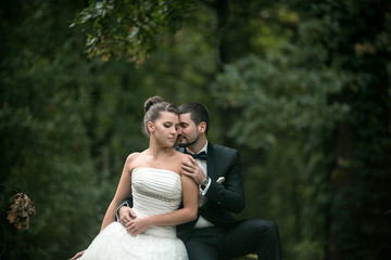 Naklejka premium Beautiful wedding couple sitting in the woods