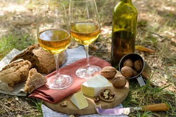 Beautiful composition of white wine, cheese, nuts and bread on the ground in the park
