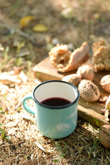 Mug with red wine, delicious cheese and nuts on wooden board outdoors - picnic theme