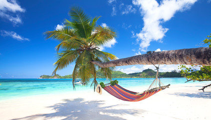 Plakat tropischer Strand mit Palmen und Hängematte