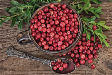 Cranberries Vintage Still Life