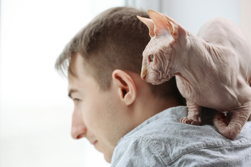 Cat sphynx sitting on young man shoulders