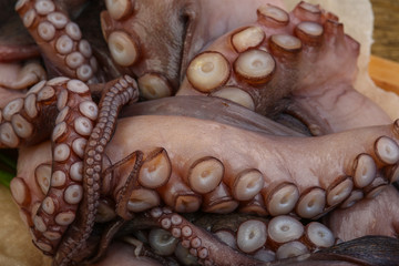 Raw octopus
