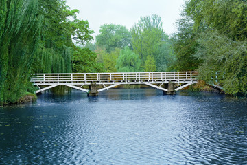 Bridge through the pond in the autumn park