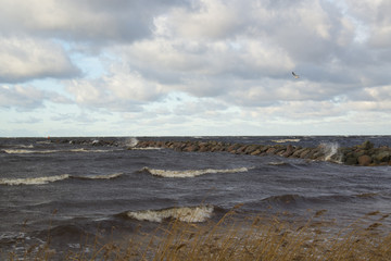 windy day at sea coast 2