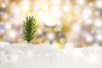 Fototapeta na wymiar Christmas tree on snow