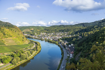 Fototapeta na wymiar Mosel river valley . Germany.