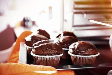 Housewife preparing chocolate cupcakes in oven, close up
