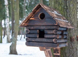 Wooden bird feeder in winter forest