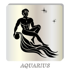 black silhouette of  Aquarius are on  pearl background.