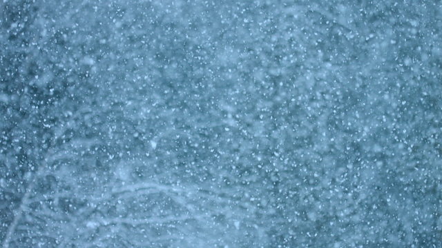 Blizzard in Forest with Massive amount of Snow