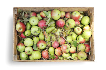 Wooden boxes with fruit - apples and pears - object on white