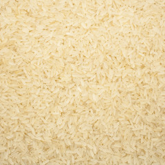 grains of rice close-up