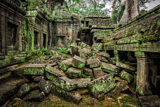 Ancient ruins of Ta Prohm temple, Angkor, Cambodia 
