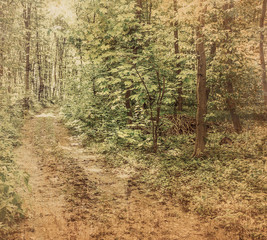vintage forest background