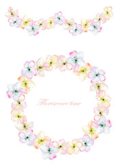 Frame border, garland and wreath of the tender pink blooming flowers, painted in a watercolor on a white background, greeting card, decoration postcard or invitation card