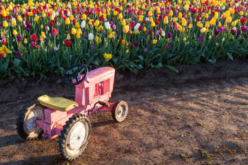 Toy Tractor with Tulips