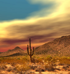 Sonora Desert Sunset
