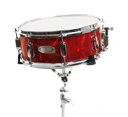 Fototapeta na wymiar Red drum isolated on white background