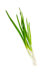 Green Onion