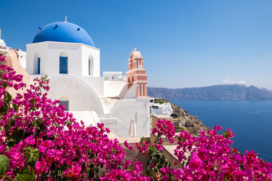 Fototapeta Scenic view of traditional cycladic houses with flowers in foreg